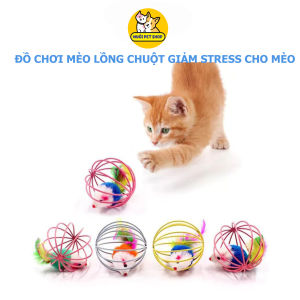 Đồ Chơi Bóng Lồng Chuột Đồ Chơi Tương Tác Giúp Mèo Giảm Stress Đồ Chơi Cho Mèo Đồ Chơi Thú Cưng - Nuôi Pet Shop