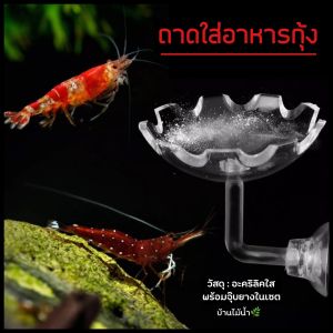 จานใส่อาหารกุ้ง ถาดใส่อาหารกุ้ง จานกุ้ง จานอาหารกุ้ง แบบติดกระจก | บ้านไม้น้ำ🌿