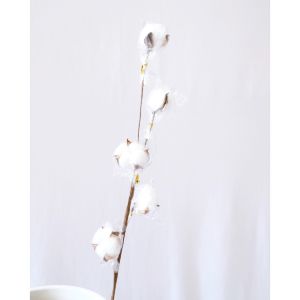 CAVIAR WEAR BUNGA KAPAS 5 KUNTUM PUTIH BUNGA DEKORASI BUNGA ARTIFICAL AKSESORIS DEKORASI BUNGA HIAS