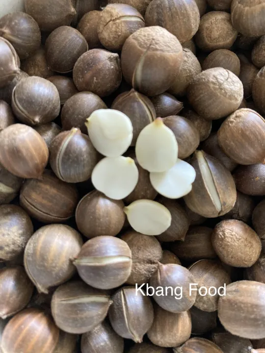 H%E1%BA%A1t%20d%E1%BA%BB%20th%C3%B3c/%20h%E1%BA%A1t%20d%E1%BA%BB%20r%E1%BB%ABng%20nh%E1%BB%8F%20lo%E1%BA%A1i%201/%20chu%E1%BA%A9n%20v%E1%BB%8B%20n%C3%BAi%20r%E1%BB%ABng/mini%20d%E1%BA%BB/1kg%20-%20Image%201