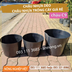 Combo 50 Cái Chậu Nhựa C8. C9. C10  Đen - Chậu nhựa trồng vạn thọ 1 gốc 2 gốc - Chậu mũ đen Chậu nhựa C8 Chậu nhựa C10