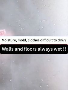 Dehumidifier Moisture Absorber Box 500ml Charcoal Rose Desiccant Boxes Drawer Wardrobe Kotak Penyerap Kelembapan 除湿盒