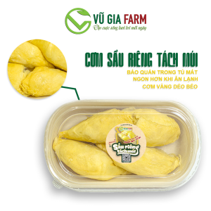 [HOẢ TỐC HCM] VG FARM Sầu Riêng Bảo Lộc Lâm Đồng - Cơm vàng  hạt lép béo ngậy ngon lắm ạ