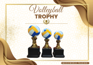 Volleyball Trophy Set Of 3 Height 50 cm/45 cm/40 cm ( CY990-1 )( Customize Available ) Trophies WITH RUST