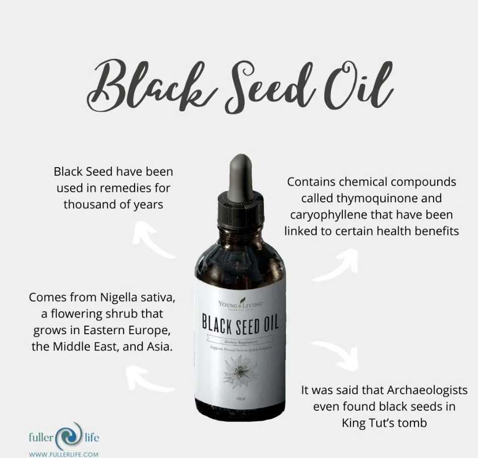 Young living Black Seed Oil 106ml | Lazada Singapore