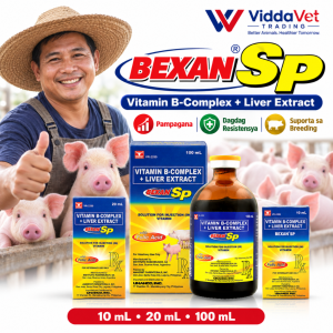 Univet BEXAN SP B COMPLEX 100ML FOR ANIMALS Bexan sp 100 ml BExan sp for pig BExan injectable fighting cock