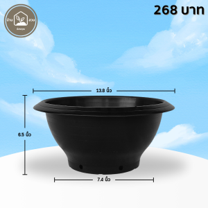 กระถาง อ่างบัว อ่างชวนชม มีรู ขนาด 13 นิ้ว สีดำ 10 ใบ ชิ้น อัน
