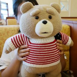 Disney 10 Styles Movie Teddy Bear Ted 2 Plush Toys In Apron Soft Stuffed Animals Plush 43cm A Birthday Present for a Good Friend2026