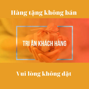 Con lăn tập cơ bụng 2 bánh TẶNG ĐỒNG HỒ THẢM QUỲ CHÂN Máy tập cơ chính cà cơ bụng chất liệu cao cấp Mẫu mới 2023