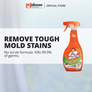 Mr. Muscle Mold & Mildew Primary Spray 500 ml