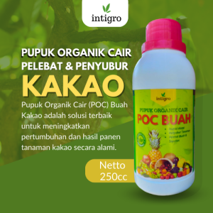 Pupuk cair Pelebat Buah Kakao / Obat Pelebat Buah Kakao / Pupuk Pelebat Buah Kakao Coklat Pembesar