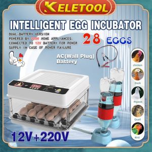 incubator automatic 130 Incubator egg automatic Thermostat alat mesin penetas tempat mengeram telur angsa ayam penetasan automatik 孵化器