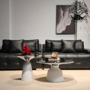 Bàn trà sofa bàn phòng khách bàn cafe đôi tròn kính WHITE BELL CLASSICON Chân thép inox nhập khẩu