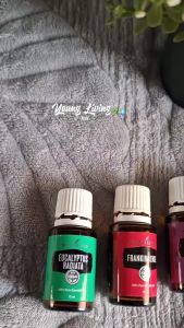 Young Living Essential Oil 15ml Original Sealed Aromatherapy Diffuser Oil Lemon Lavender Peppermint Thieves R.C Eucalyptus Globulus