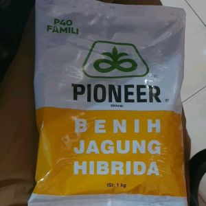 BIBIT BENIH JAGUNG HIBRIDA P40 FAMILY 1KG Pioneer P40 Famili Corteva