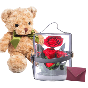 Luxury Preserved Roses Box – Eternal Red & Pink Roses for Mother’s Day Everlasting Flower Gift with Teddy Bear