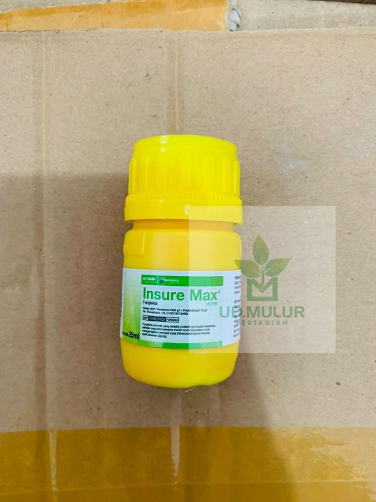 Mushukni yalayotgan oquvchi bilan porno