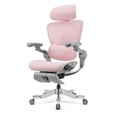 Hinomi H2 Pro Ergonomic Office Chair with Lumbar Support and Leg Rest Mesh Home Office Chair with Adjustable Backrest Gaming Chair