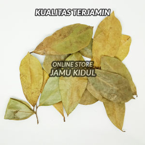 Daun Sirsak Kering 1kg Asli Hutan - Lebih Berkhasiat