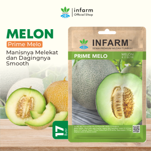 INFARM-Benih Super Melon Golden Biji Super Melon Golden Bibit Super Melon Golden Benih Melon Benih Buah Buahan Bibit Biji Buah melon