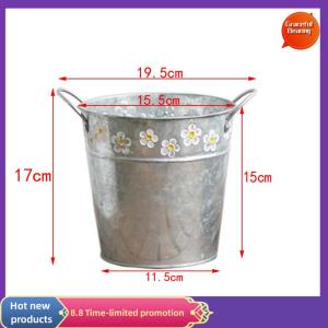 Graceful Vintage Iron Flower Pot Desktop Flower Vase Plant Flowerpot Balcony Plant Bucket