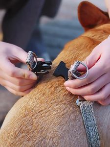 PETWELL Pet Leash Dog Harness Denim Leash for Small Medium Large Dogs Adjustable Leash Belt Traction
