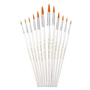 12X Bộ cọ dầu màu nước cọ bằng nhựa Acrylic nghệ sĩ paintbrushes vẽ nguồn cung cho cơ thể mặt đá vải