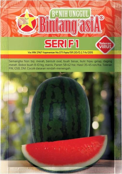 Benih Semangka 3n Seri F1 20 Gram Cap Bintang Asia Pt Benih Citra Asia
