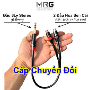 Dây 6 Ly Stereo Ra 2 Đầu AV Hoa Sen Cái dài 30cm giá 1 dây cáp chuyển đổi jack 6.5mm stereo sang 2 đầu jack hoa sen.