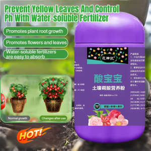 Ferrous Sulfate Fertilizer For Acid-loving Plants Used To Prevent Yellowing Leaves In Potted Plants A Water-soluble Fertilizer For Adjusting Soil PH
