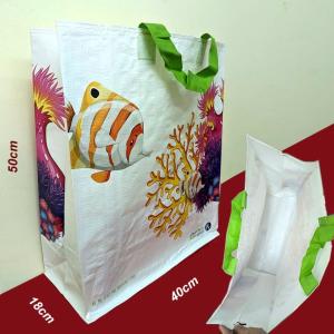 Túi di siêu thị bằng bạt nhựa dệt chống thấm nhẹ bền lớn xếp gọn xách đồ nặng. 40x18x50cm. tx137a