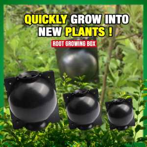Plant Rooting Device Reusable Plant Box High Pressure Propagation