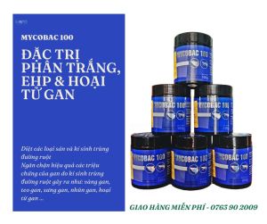 Xổ Ký Sinh Trùng Cho Tôm Sản Phẩm Tri Bênh EHP Thủy Sản Đac Tri Phân Trắng - MYCOBAC 100 - PHÂN TRẮNG KÝ SINH TRÙNG GAN RUỘT - Nuôi Tôm Thẻ Cá Ếch Lươn Baba - THUỐC THUỶ SẢN MỸ PHƯƠNG