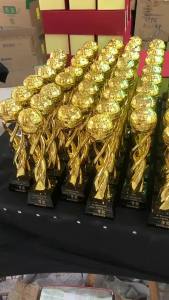 LZD Resin Crystal Trophy Five-Pointed Star Big Bunion Cup Excellent Staff Honor Award Sports than Company Annual Meeting Trophy