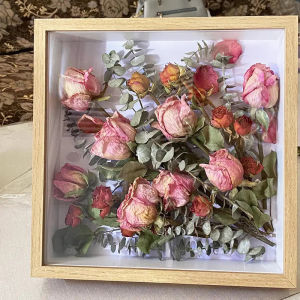 Graduation Gifts Photo Frame with Led Light Specimen Frame Dried Flower Collection Display Multipurpose Shadow  Hollow Frame Decor Room Souvenirs Case Fathers Day Gift Artwork