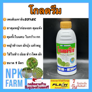โกลดรีม ขนาด 1 ลิตร เพนดิเมทาลิน คุมหญ้าใบแคบและใบกว้าง คุมแห้งใน นา อ้อย ผักชี ข้าวโพด มันสำปะหลัง npkplant