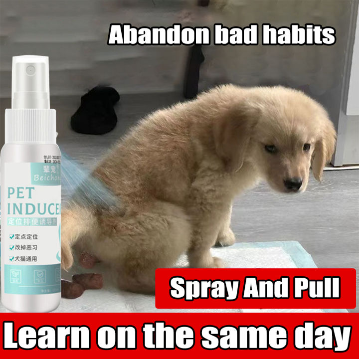 pet-potty-trainer-for-dogs-120ml-pet-potty-training-spray-for-dogs-and