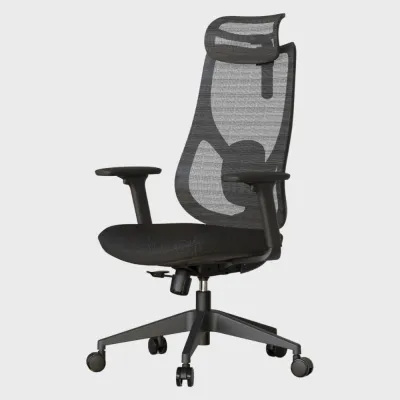 TakeAseat Torvix Office Chair ★ Home Office Chair ★ Comfortable Lumbar Support ★ Easy Self Setup