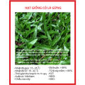 Gói 100g.Hạt giống cỏ lá gừng ,cỏ lá tre,cỏ trồng sân vườn- gieo trồng quanh năm. 
