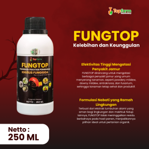 Obat Khusus Jamur Tanaman / Obat Jamur Daun Semangka / Obat Jamur Batang Karet / Obat Jamur Pada Daun Padi / Obat Jamur Daun Bawang / Obat Jamur Daun Durian / Obat Jamur Daun Anggur Keriting