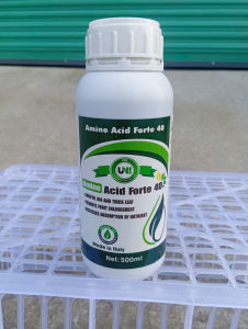 Chai 500ml chứa OM 40% Amino Acid 37% lá to dày bóng lớn trái đều và đẹp siêu bổ dưỡng có trong phân bón hữu cơ Amino Acid Forte sản phẩm đến từ Ý