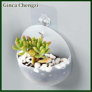 Ginca GUDE001 Lofty Sáng Tạo Treo Tường Acrylic Vase Treo Tường Planter Plant Flower Pot Chủ