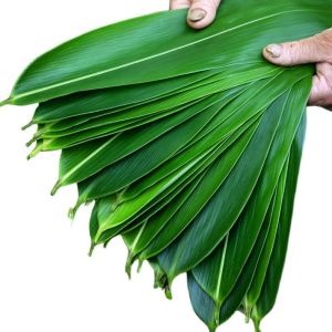(Stock) Zongzi Leaves Fresh Dried Zongzi Leaves Large Packaging Zongzi Leaves Red Heart Salted Egg Yolk Moon Cake Zongzi Filling with Salted Duck Egg Yolk Zongye100 Pieces