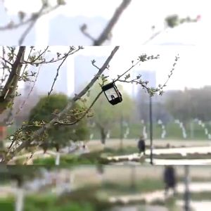 Solar Clip Light Lamp Waterproof Motion Sensor 3 Modes Outdoor Garden Fence Lampu Solar