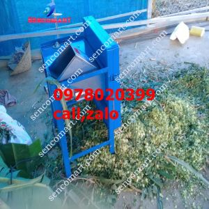 Máy băm cỏ voi inox miễn phi ship