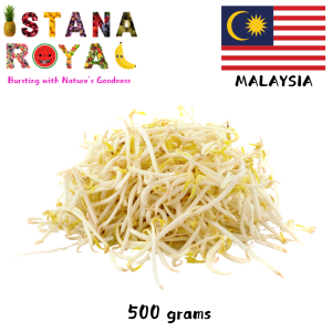 CRUNCHY GOODNESS: FRESH BEANSPROUTS IMPORTED FROM MALAYSIA - 500G - ISTANA ROYAL FRUITS