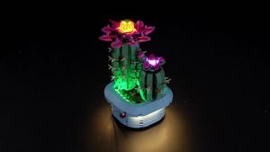 LocoLee Customized Light kit Compatible with 11509 Flowering Cactus - No Actual Model Only Lights LED Lighting Accessories Compatible with Cactus 11509