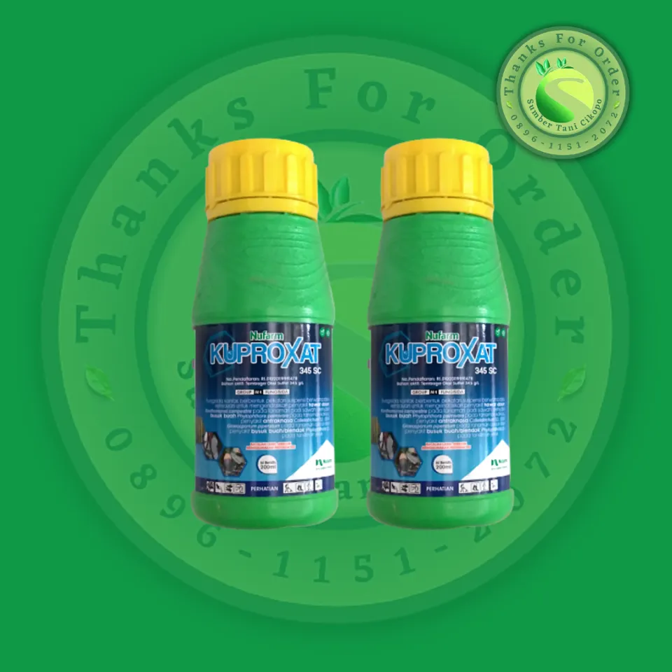 U porno tomosha qilishni va jinsiy aloqa qilishni xohlamaydi. Boshsiz otliq porno