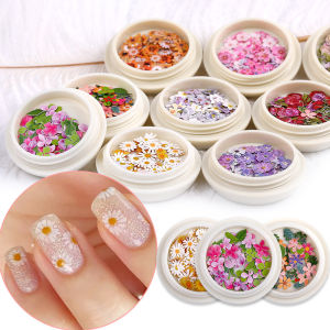 Box Wood Pulp Chips Mixed Simulation Flowers Ultra-thin Studs DIY Nail Decoration Nail Art Accessories
