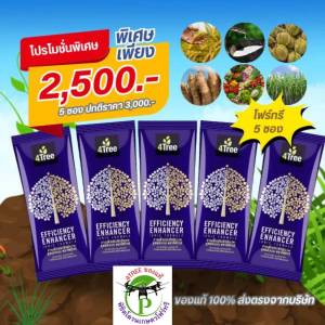 4Tree​ของแท้ โฟร์​ทรี​  1 - 10 ซอง สารเสริมประสิทธิภาพพืชสูตรอิออน ช่วยเร่งราก พืชโตเร็ว ทำให้พืชเขียวนาน ใช้ได้กับพืชทุกชนิด นวัตกรรมใหม่จากประเทศอิสราเอลของแท้100%